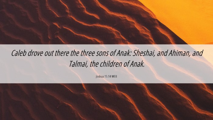 Picture 06 - Joshua 15:14 WEB Desktop Wallpaper - Caleb drove out there the three sons of Anak: - Desktop Bible Verse Wallpaper