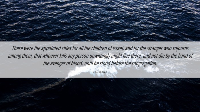 Picture 06 - Joshua 20:9 WEB Desktop Wallpaper - These were the appointed cities for all the - Desktop Bible Verse Wallpaper