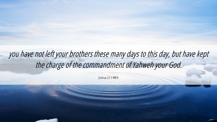 Picture 06 - Joshua 22:3 WEB Desktop Wallpaper - you have not left your brothers these many days - Desktop Bible Verse Wallpaper