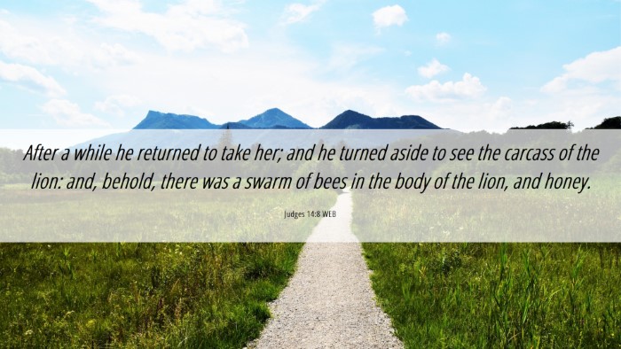 Picture 06 - Judges 14:8 WEB Desktop Wallpaper - After a while he returned to take her; and he - Desktop Bible Verse Wallpaper