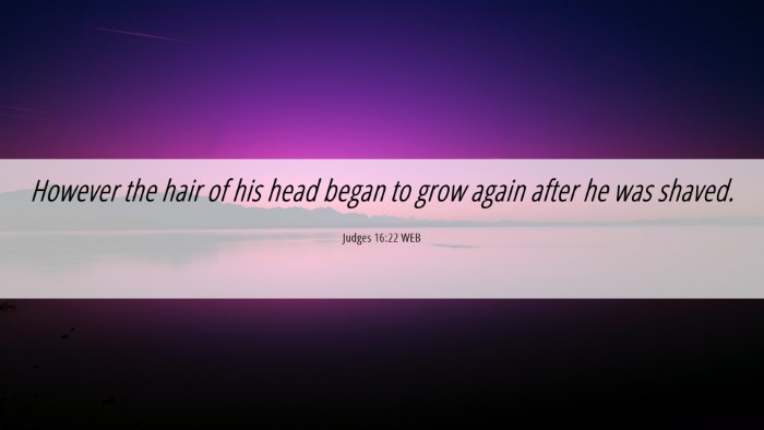 Picture 06 - Judges 16:22 WEB Desktop Wallpaper - However the hair of his head began to grow again - Desktop Bible Verse Wallpaper