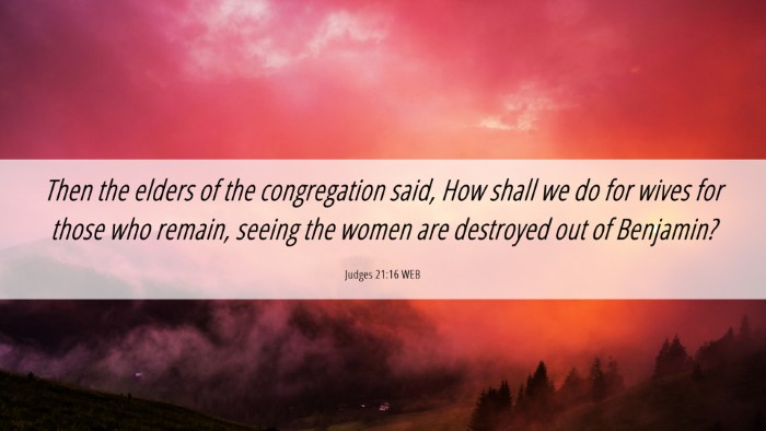 Picture 06 - Judges 21:16 WEB Desktop Wallpaper - Then the elders of the congregation said, How - Desktop Bible Verse Wallpaper
