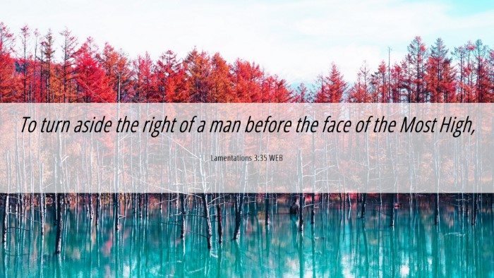 Picture 06 - Lamentations 3:35 WEB Desktop Wallpaper - To turn aside the right of a man before the face - Desktop Bible Verse Wallpaper
