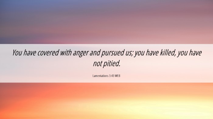 Picture 06 - Lamentations 3:43 WEB Desktop Wallpaper - You have covered with anger and pursued us; you - Desktop Bible Verse Wallpaper