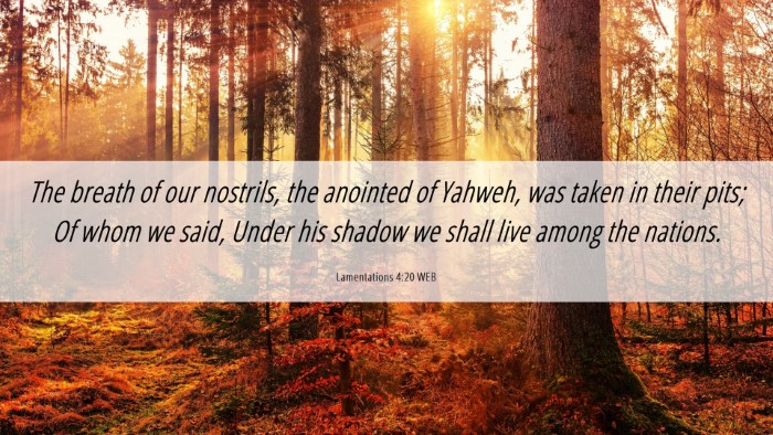Picture 06 - Lamentations 4:20 WEB Desktop Wallpaper - The breath of our nostrils, the anointed of - Desktop Bible Verse Wallpaper