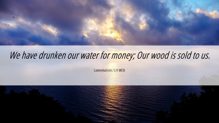 Picture 06 - Lamentations 5:4 WEB Desktop Wallpaper - We have drunken our water for money; Our wood is - Desktop Bible Verse Wallpaper