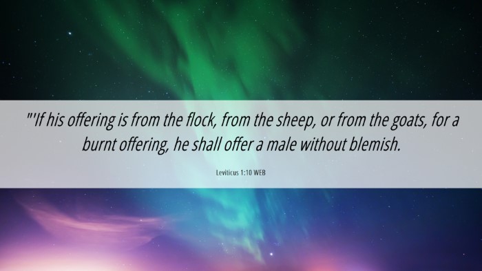 Picture 06 - Leviticus 1:10 WEB Desktop Wallpaper - 