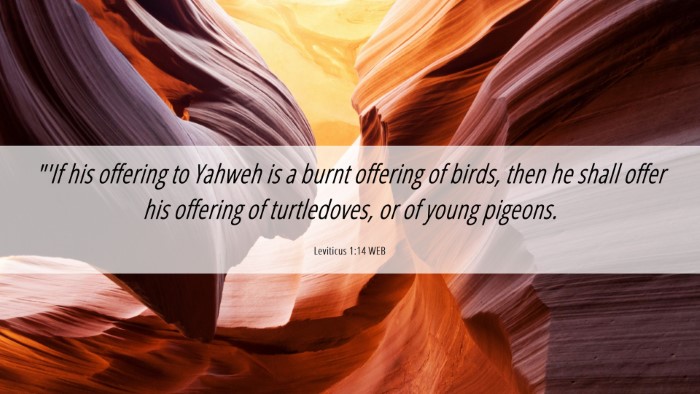 Picture 06 - Leviticus 1:14 WEB Desktop Wallpaper - 