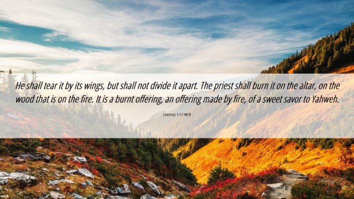Picture 06 - Leviticus 1:17 WEB Desktop Wallpaper - He shall tear it by its wings, but shall not - Desktop Bible Verse Wallpaper