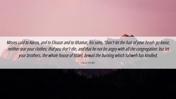 Picture 06 - Leviticus 10:6 WEB Desktop Wallpaper - Moses said to Aaron, and to Eleazar and to - Desktop Bible Verse Wallpaper
