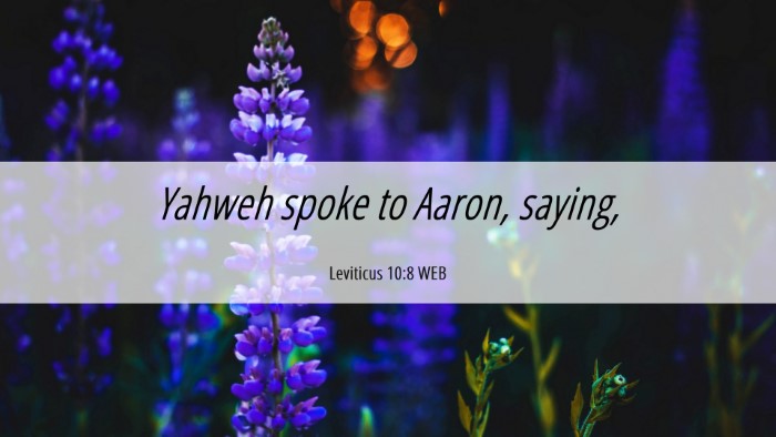 Picture 06 - Leviticus 10:8 WEB Desktop Wallpaper - Yahweh spoke to Aaron, - Desktop Bible Verse Wallpaper