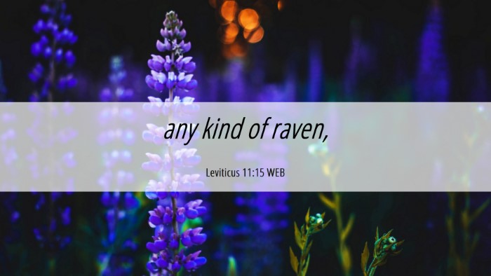 Picture 06 - Leviticus 11:15 WEB Desktop Wallpaper - any kind of - Desktop Bible Verse Wallpaper
