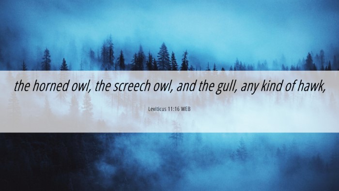 Picture 06 - Leviticus 11:16 WEB Desktop Wallpaper - the horned owl, the screech owl, and the gull, - Desktop Bible Verse Wallpaper
