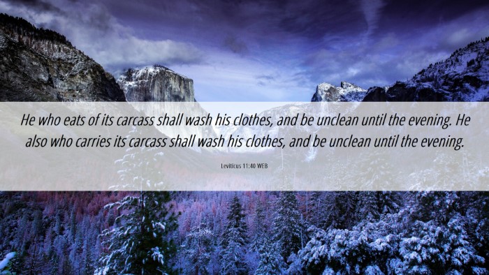 Picture 06 - Leviticus 11:40 WEB Desktop Wallpaper - He who eats of its carcass shall wash his - Desktop Bible Verse Wallpaper