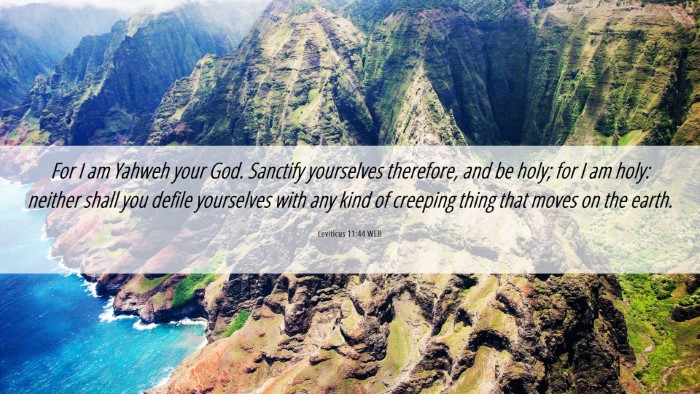 Picture 06 - Leviticus 11:44 WEB Desktop Wallpaper - For I am Yahweh your God. Sanctify yourselves - Desktop Bible Verse Wallpaper