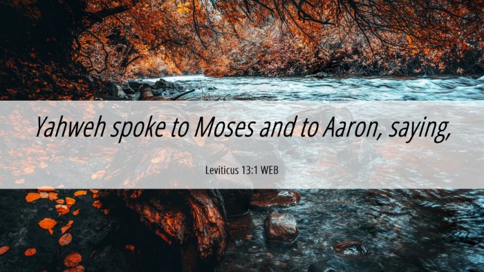Picture 06 - Leviticus 13:1 WEB Desktop Wallpaper - Yahweh spoke to Moses and to Aaron, - Desktop Bible Verse Wallpaper