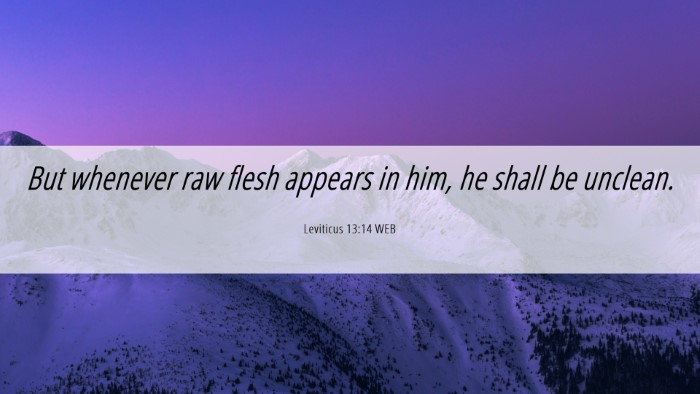 Picture 06 - Leviticus 13:14 WEB Desktop Wallpaper - But whenever raw flesh appears in him, he shall - Desktop Bible Verse Wallpaper