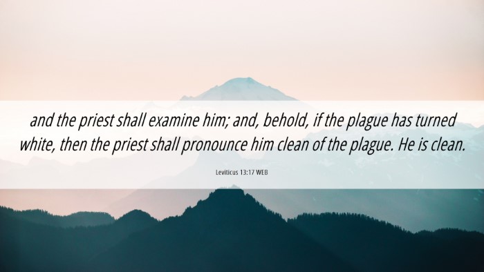 Picture 06 - Leviticus 13:17 WEB Desktop Wallpaper - and the priest shall examine him; and, behold, if - Desktop Bible Verse Wallpaper