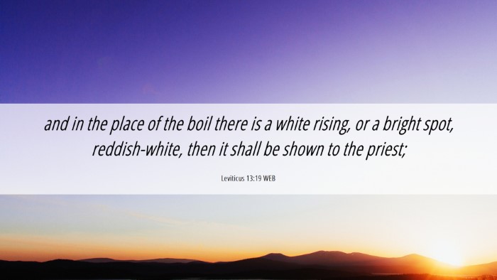 Picture 06 - Leviticus 13:19 WEB Desktop Wallpaper - and in the place of the boil there is a white - Desktop Bible Verse Wallpaper