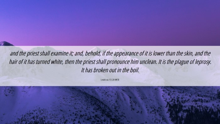 Picture 06 - Leviticus 13:20 WEB Desktop Wallpaper - and the priest shall examine it; and, behold, if - Desktop Bible Verse Wallpaper