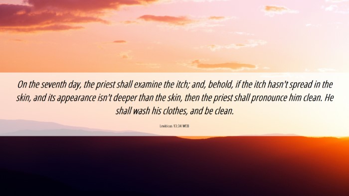 Picture 06 - Leviticus 13:34 WEB Desktop Wallpaper - On the seventh day, the priest shall examine the - Desktop Bible Verse Wallpaper