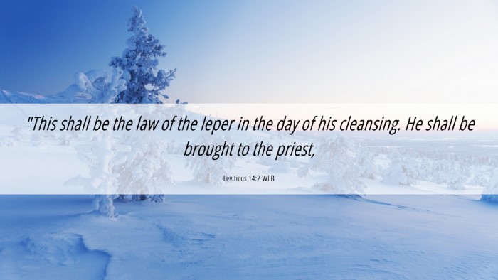Picture 06 - Leviticus 14:2 WEB Desktop Wallpaper - 