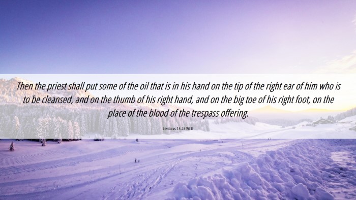 Picture 06 - Leviticus 14:28 WEB Desktop Wallpaper - Then the priest shall put some of the oil that is - Desktop Bible Verse Wallpaper