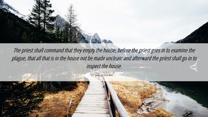 Picture 06 - Leviticus 14:36 WEB Desktop Wallpaper - The priest shall command that they empty the - Desktop Bible Verse Wallpaper