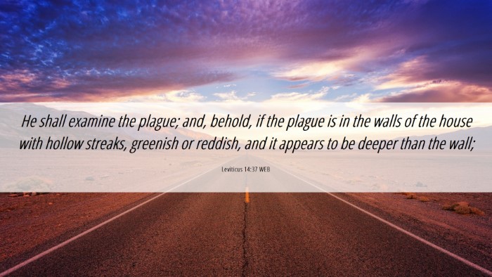 Picture 06 - Leviticus 14:37 WEB Desktop Wallpaper - He shall examine the plague; and, behold, if the - Desktop Bible Verse Wallpaper