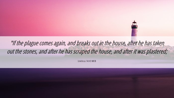 Picture 06 - Leviticus 14:43 WEB Desktop Wallpaper - 