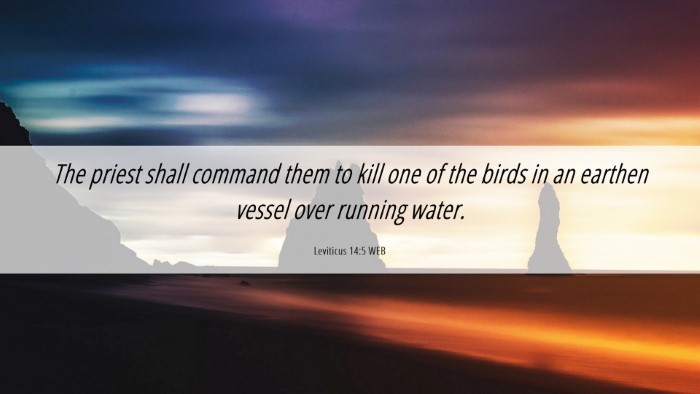Picture 06 - Leviticus 14:5 WEB Desktop Wallpaper - The priest shall command them to kill one of the - Desktop Bible Verse Wallpaper