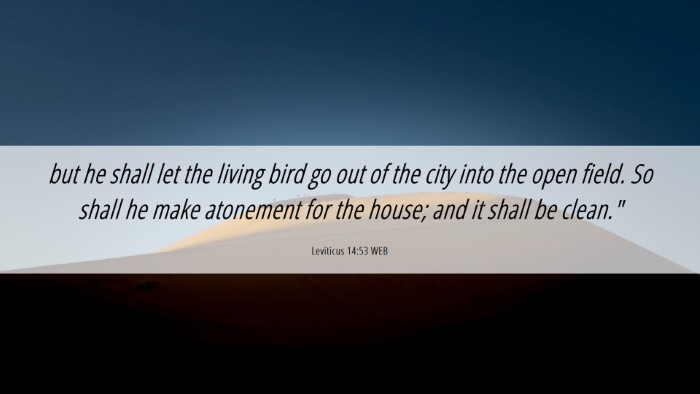 Picture 06 - Leviticus 14:53 WEB Desktop Wallpaper - but he shall let the living bird go out of the - Desktop Bible Verse Wallpaper