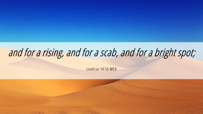 Picture 06 - Leviticus 14:56 WEB Desktop Wallpaper - and for a rising, and for a scab, and for a - Desktop Bible Verse Wallpaper