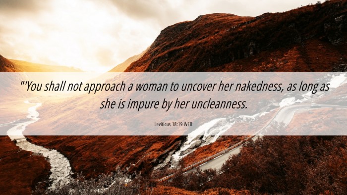 Picture 06 - Leviticus 18:19 WEB Desktop Wallpaper - 