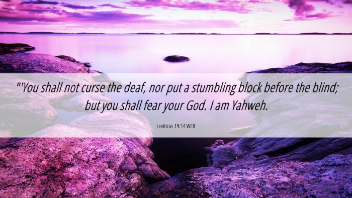 Picture 06 - Leviticus 19:14 WEB Desktop Wallpaper - 