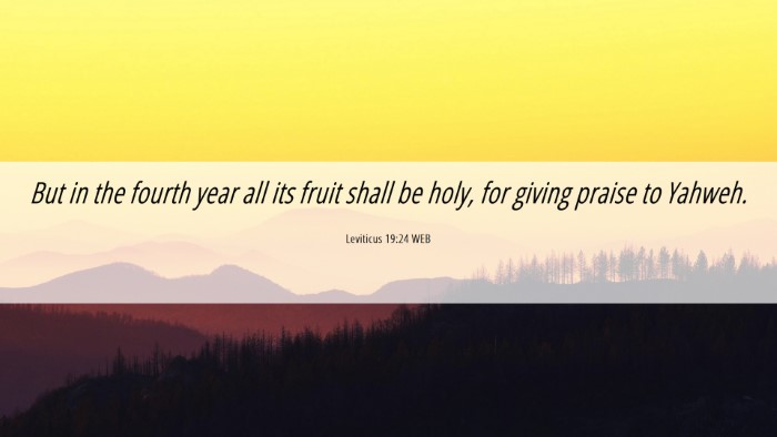 Picture 06 - Leviticus 19:24 WEB Desktop Wallpaper - But in the fourth year all its fruit shall be - Desktop Bible Verse Wallpaper