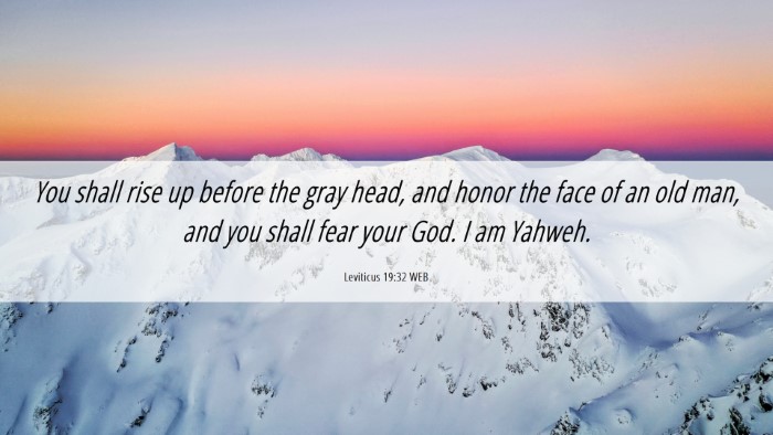 Picture 06 - Leviticus 19:32 WEB Desktop Wallpaper - You shall rise up before the gray head, and honor - Desktop Bible Verse Wallpaper