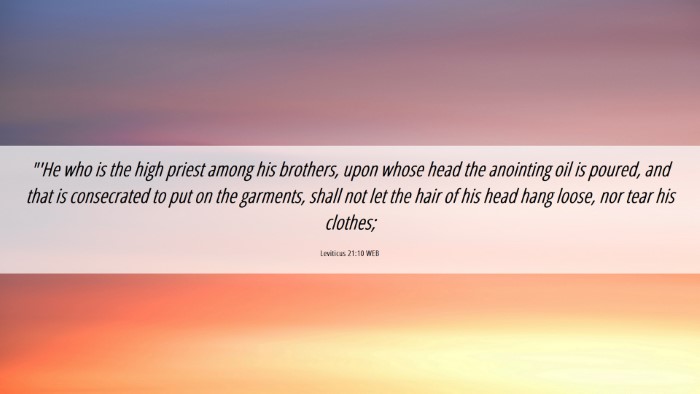 Picture 06 - Leviticus 21:10 WEB Desktop Wallpaper - 