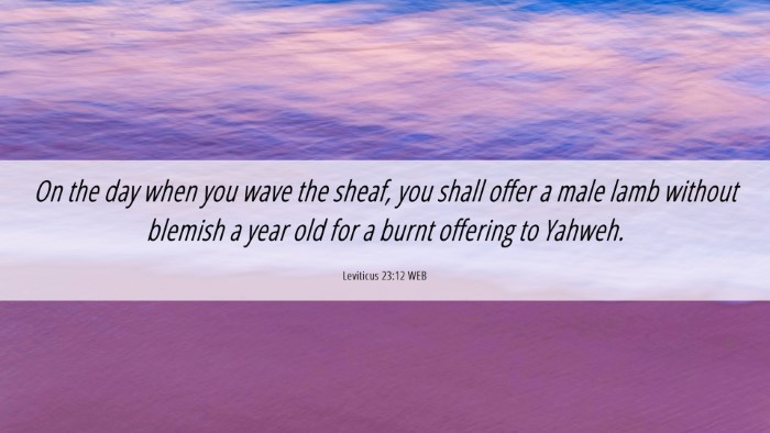 Picture 06 - Leviticus 23:12 WEB Desktop Wallpaper - On the day when you wave the sheaf, you shall - Desktop Bible Verse Wallpaper