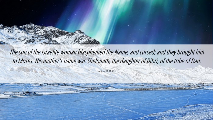 Picture 06 - Leviticus 24:11 WEB Desktop Wallpaper - The son of the Israelite woman blasphemed the - Desktop Bible Verse Wallpaper