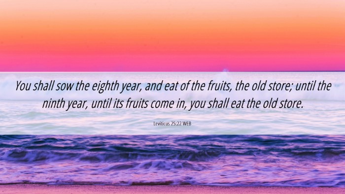 Picture 06 - Leviticus 25:22 WEB Desktop Wallpaper - You shall sow the eighth year, and eat of the - Desktop Bible Verse Wallpaper
