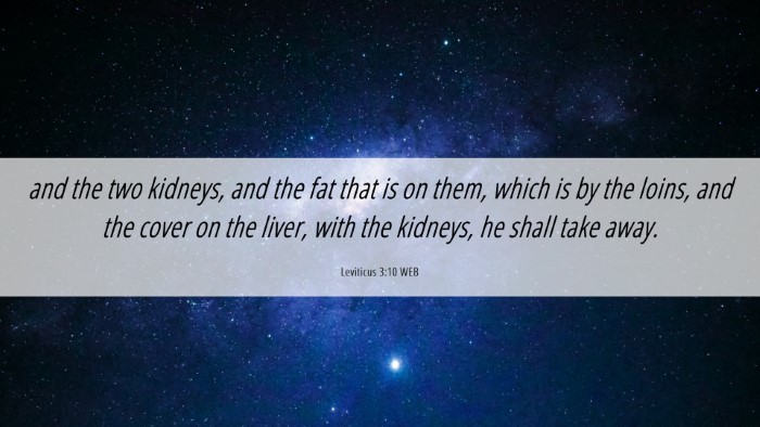 Picture 06 - Leviticus 3:10 WEB Desktop Wallpaper - and the two kidneys, and the fat that is on them, - Desktop Bible Verse Wallpaper