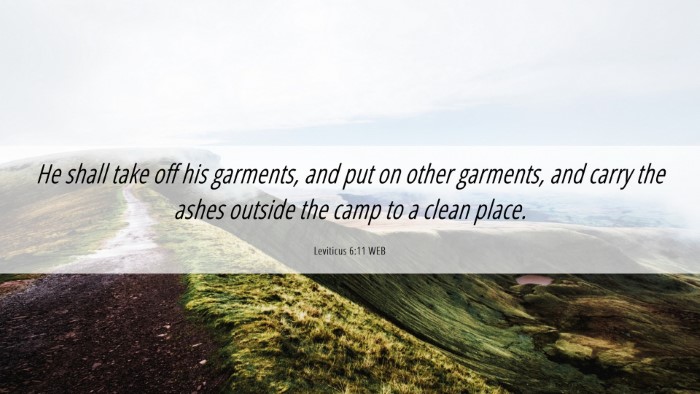 Picture 06 - Leviticus 6:11 WEB Desktop Wallpaper - He shall take off his garments, and put on other - Desktop Bible Verse Wallpaper
