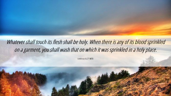 Picture 06 - Leviticus 6:27 WEB Desktop Wallpaper - Whatever shall touch its flesh shall be holy. - Desktop Bible Verse Wallpaper