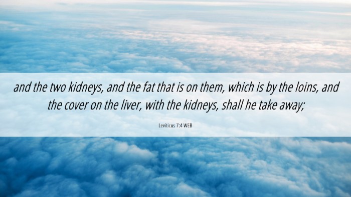 Picture 06 - Leviticus 7:4 WEB Desktop Wallpaper - and the two kidneys, and the fat that is on them, - Desktop Bible Verse Wallpaper