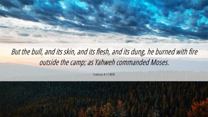 Picture 06 - Leviticus 8:17 WEB Desktop Wallpaper - But the bull, and its skin, and its flesh, and - Desktop Bible Verse Wallpaper