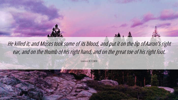 Picture 06 - Leviticus 8:23 WEB Desktop Wallpaper - He killed it; and Moses took some of its blood, - Desktop Bible Verse Wallpaper