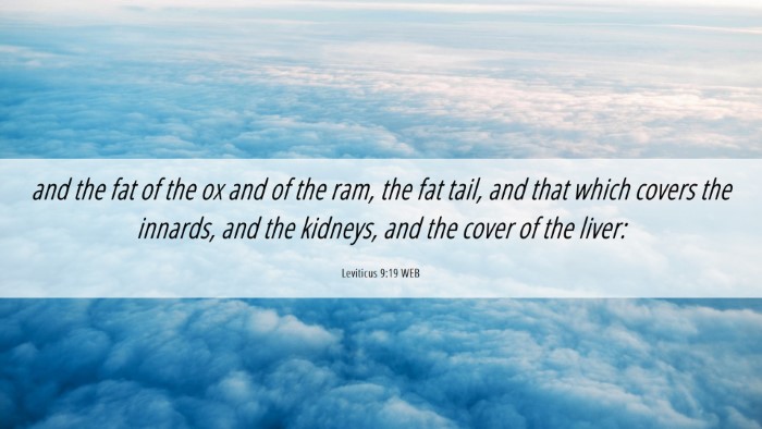 Picture 06 - Leviticus 9:19 WEB Desktop Wallpaper - and the fat of the ox and of the ram, the fat - Desktop Bible Verse Wallpaper