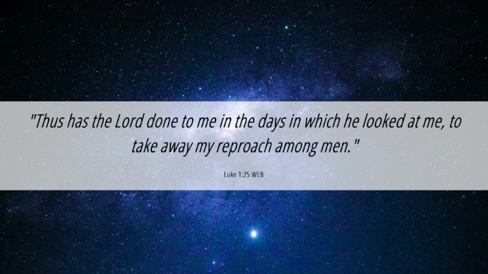 Picture 06 - Luke 1:25 WEB Desktop Wallpaper - 