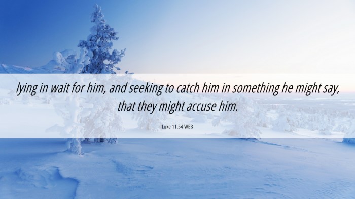 Picture 06 - Luke 11:54 WEB Desktop Wallpaper - lying in wait for him, and seeking to catch him - Desktop Bible Verse Wallpaper